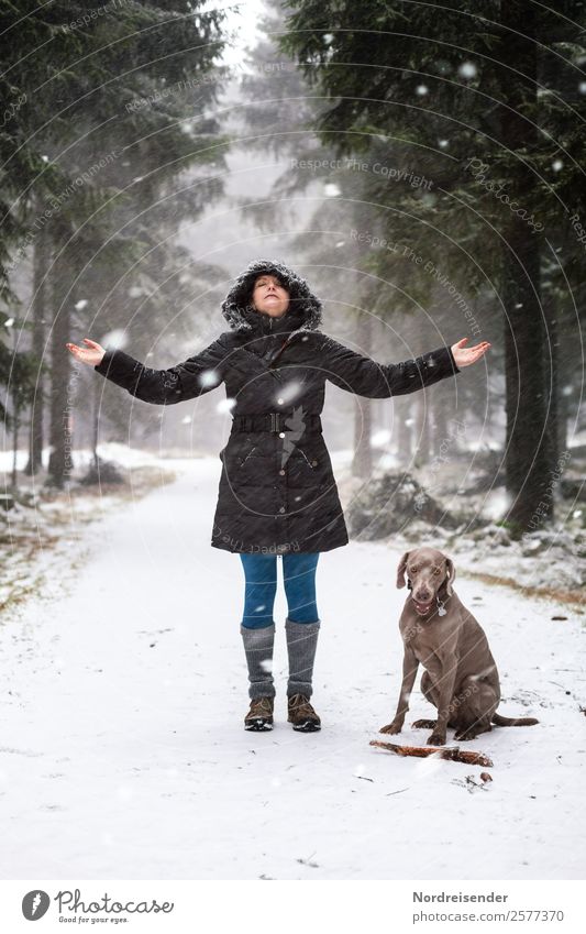 Ausflug im Winterwald Lifestyle Freizeit & Hobby Winterurlaub wandern Mensch feminin Frau Erwachsene Natur Landschaft Eis Frost Schnee Schneefall Wald