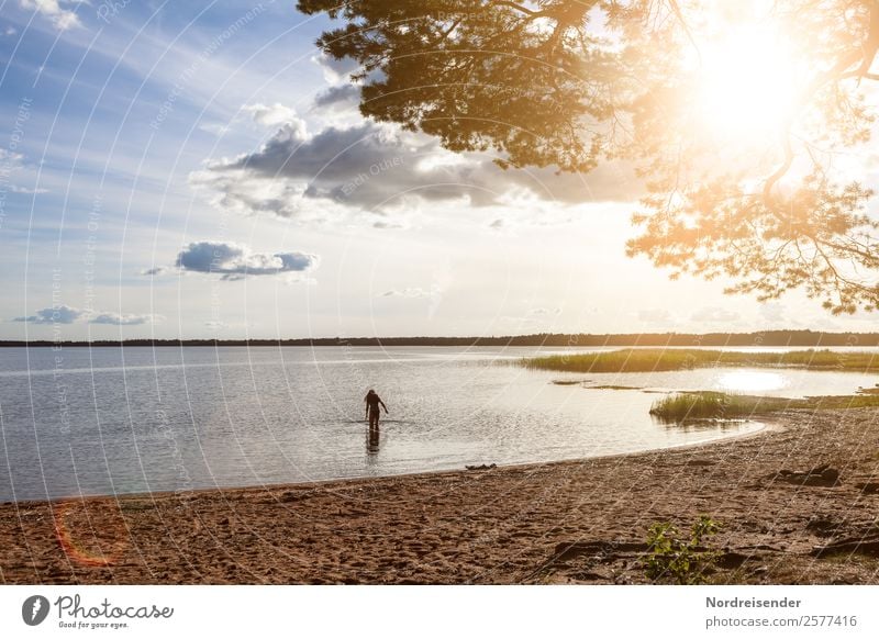 Ostsee in Nordschweden Ferien & Urlaub & Reisen Ferne Freiheit Camping Sommer Sommerurlaub Strand Meer Mensch feminin Frau Erwachsene Urelemente Wasser Himmel