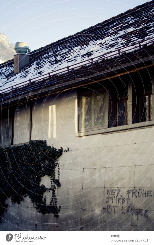 Wer früher stribt ist länger Haus Gebäude Mauer Wand Fassade Fenster Dach bedrohlich dunkel grau Graffiti Redewendung Farbfoto Gedeckte Farben Außenaufnahme