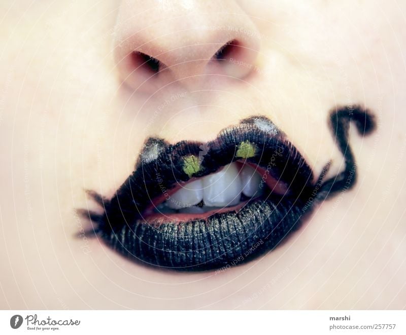 miau Stil Mensch feminin Haut Gesicht Nase Mund Lippen schwarz Lippenstift Schnurren Katze Miau Zähne bleich blassblau Schminke Karneval gemalt Farbe