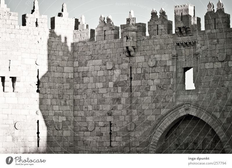 Damaskustor Jerusalem Altstadt Israel Naher und Mittlerer Osten Hauptstadt Menschenleer Tor Bauwerk Gebäude Architektur Mauer Wand Fassade Tür Sehenswürdigkeit