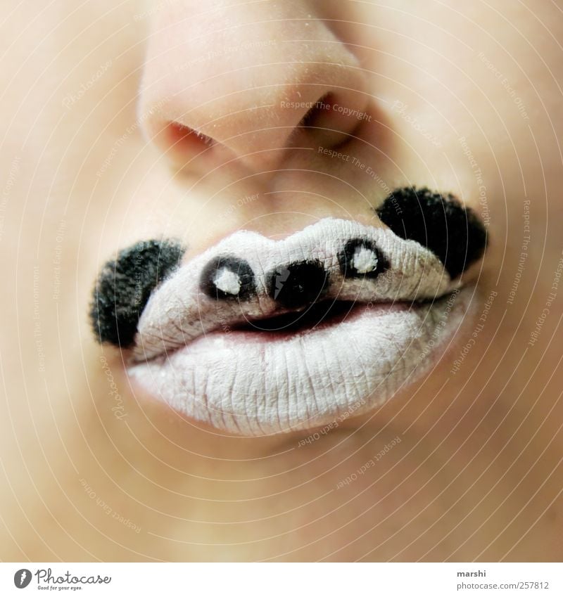 gib mir Bambus! Mensch Haut Mund Lippen Zähne Tier Tiergesicht 1 schwarz weiß Panda Schminke angemalt Karneval Artenschutz Nase Tierhaut Symbole & Metaphern