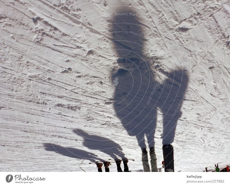 boarders line Lifestyle Freizeit & Hobby Winter Schnee Winterurlaub Berge u. Gebirge Sport Skifahren Snowboard Mensch Menschengruppe stehen Farbfoto Tag Licht