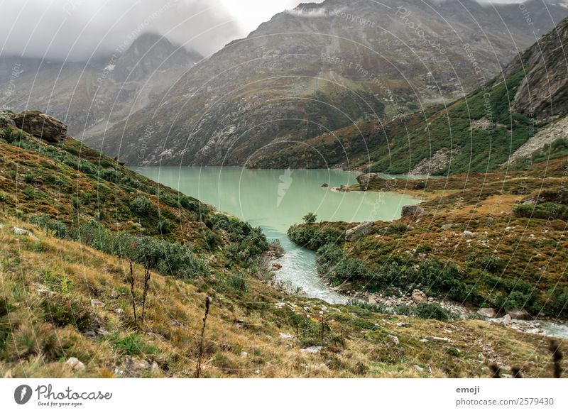 Göscheneralpsee Freizeit & Hobby Wandertag Umwelt Natur Landschaft Wolken Herbst Klima Wetter Berge u. Gebirge See Fluss außergewöhnlich natürlich grün