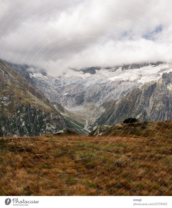 Göscheneralp Freizeit & Hobby Wandertag Umwelt Natur Landschaft Wolken Herbst Klima Wetter Berge u. Gebirge außergewöhnlich natürlich grün Tourismus Schweiz