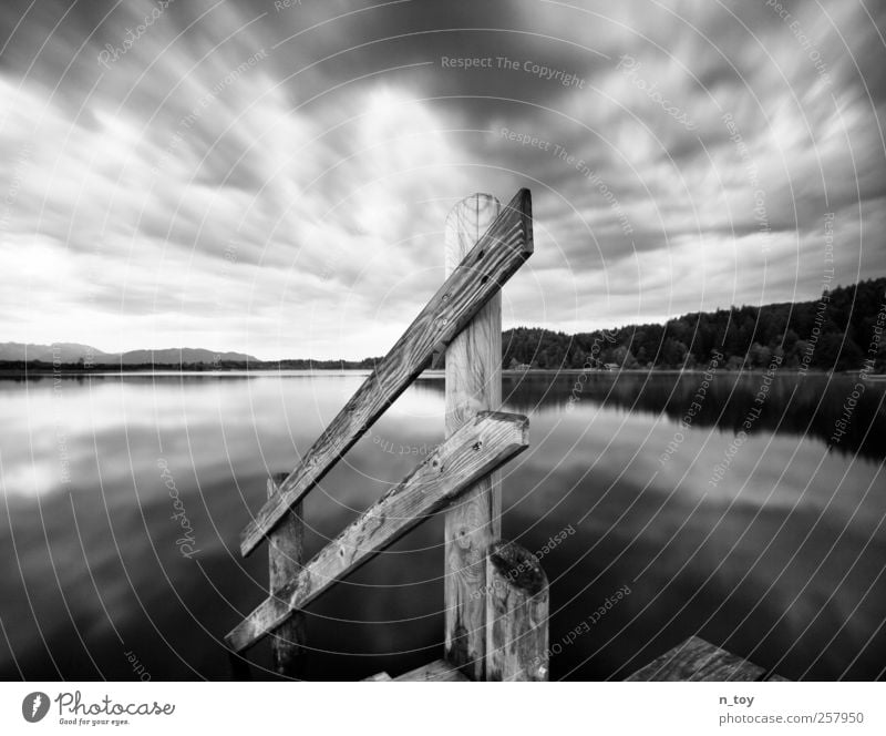 Moorsee III Natur Landschaft Wasser Himmel Wolken Herbst Wald Alpen Berge u. Gebirge Seeufer Schwimmen & Baden beobachten Denken Ferne frei grau schwarz weiß