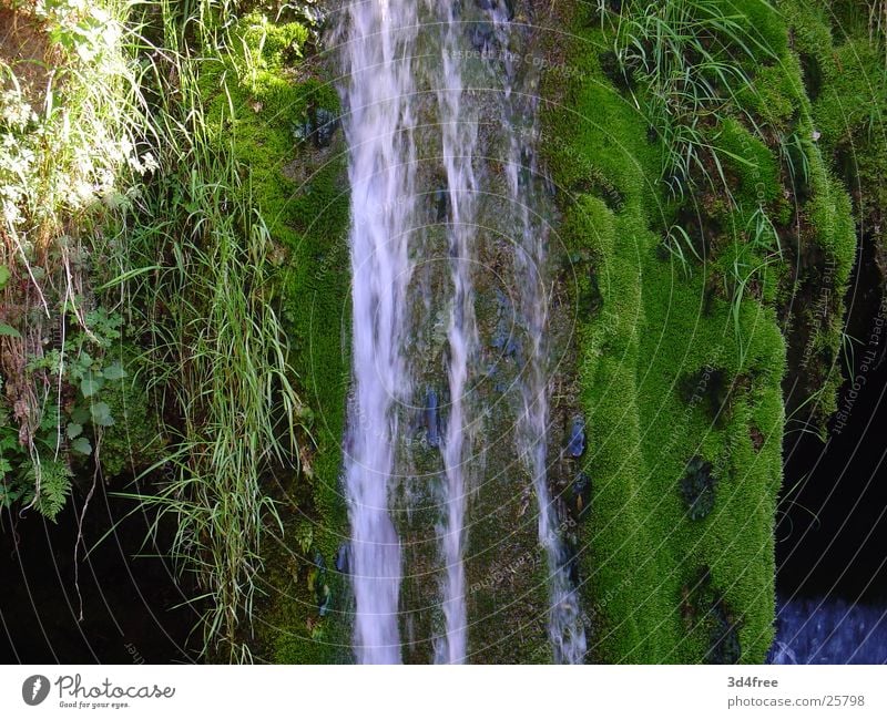 Plätscher grün Bach unberührt Einsamkeit nass Wasserfall fallen Stein Felsen Bächle Fluss Wassertropfen Natur