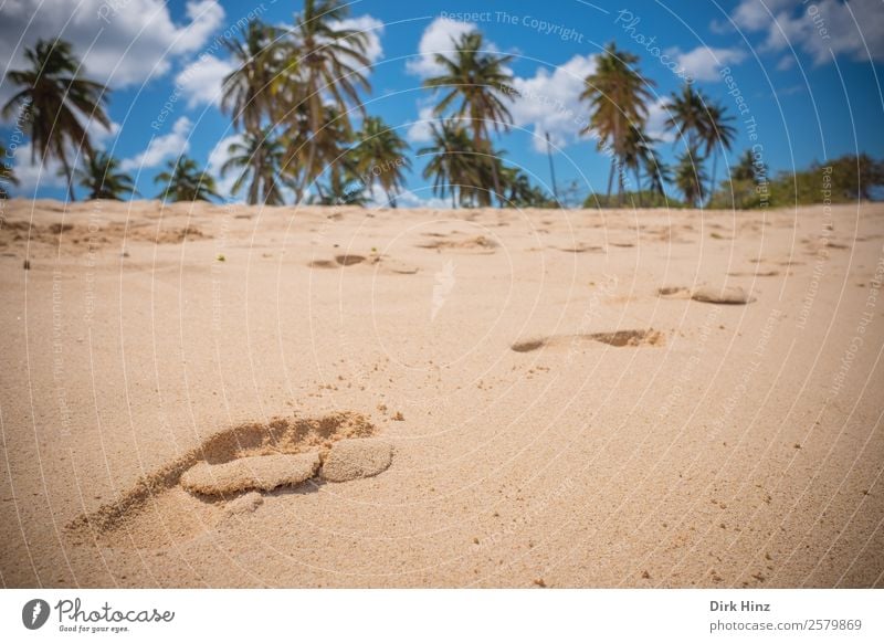 Fußspuren im karibischen Sand Ferien & Urlaub & Reisen Tourismus Ferne Sommer Sommerurlaub Sonne Strand Meer Umwelt Natur Landschaft Himmel Schönes Wetter