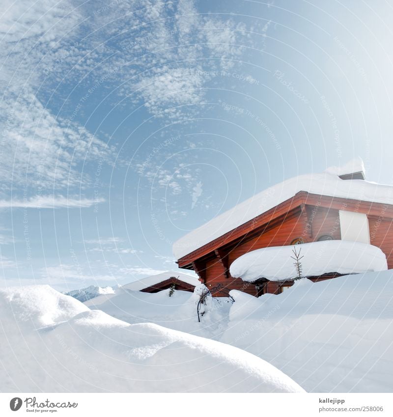 watte Freizeit & Hobby Umwelt Natur Landschaft Winter Hügel Alpen Berge u. Gebirge Gipfel Schneebedeckte Gipfel Dorf Häusliches Leben Hütte kalt Schweiz