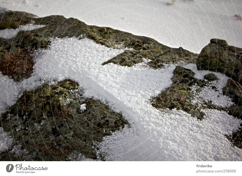 kugelschnee Winter Wetter Eis Frost Hagel Schnee Hügel Felsen Berge u. Gebirge Schneebedeckte Gipfel frieren kalt grau grün weiß Stein steinig Steinplatten