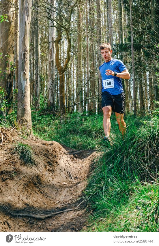 Mann, der am Trail Race teilnimmt Lifestyle Sport Mensch Erwachsene Natur Baum Gras Wald Wege & Pfade Fitness authentisch Geschwindigkeit Energie Konkurrenz