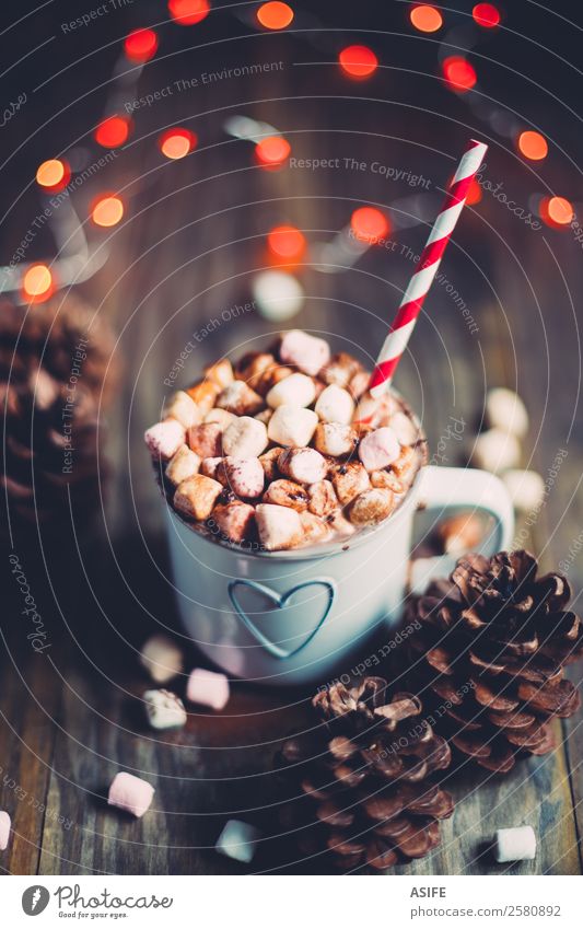Weihnachtliche heiße Schokolade Frühstück Getränk Kakao Winter Holz Herz lecker rot Tradition Weihnachten Marshmallows Becher Kiefernzapfen Festbeleuchtung