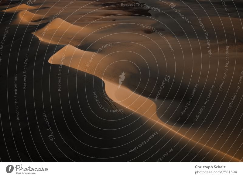 Dünen und Schatten Ferien & Urlaub & Reisen Tourismus Ausflug Abenteuer Ferne Safari Sommer Sommerurlaub Umwelt Natur Landschaft Urelemente Erde Sand Horizont