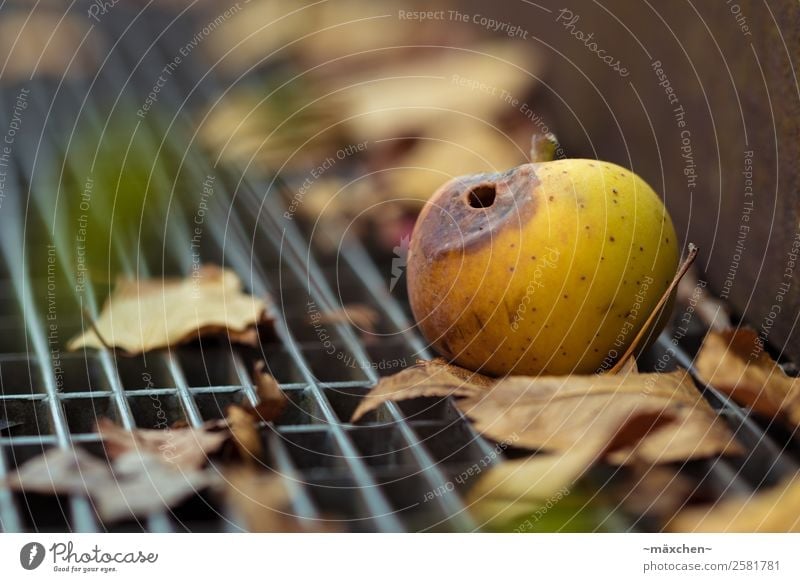 Autumn is coming... Apfel Stahl alt braun gelb gold grün Herbst herbstlich Blatt verfaulen faulig angefressen Wurmloch liegen Gitterrost Boden Fallobst Frucht