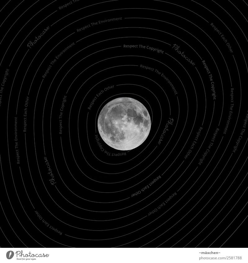 Vollmond Nachthimmel Mond hell schwarz weiß Ferne Himmelskörper & Weltall dunkel beeindruckend wandernd Krater Mondkrater Kontrast deutlich Klarer Himmel