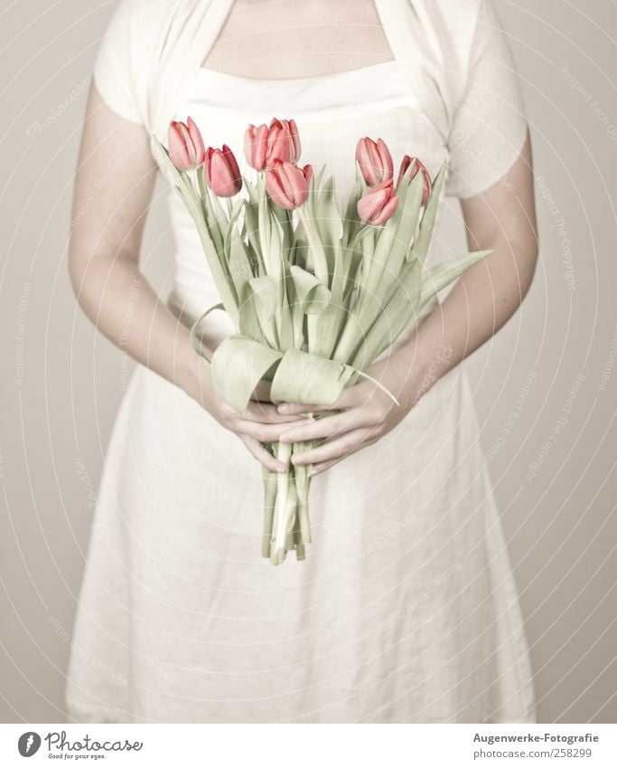 Soft tulips Mensch feminin Junge Frau Jugendliche Körper 1 18-30 Jahre Erwachsene Blume Tulpe Kleid stehen Wärme weich weiß Farbfoto Innenaufnahme