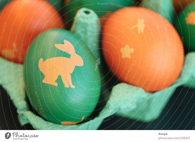 Frisch gestrichen Ei gelb grün Ostern Osterei Osterhase Eierkarton orange bemalt Farbfoto Menschenleer
