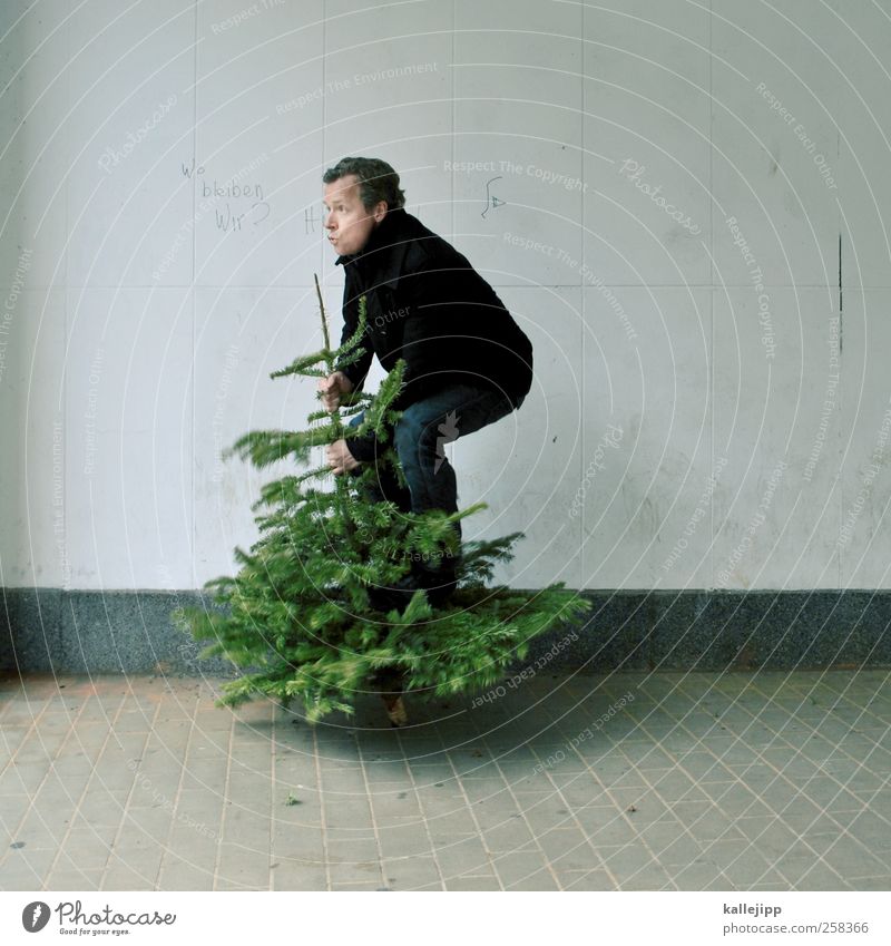 baumtanz Mensch maskulin Mann Erwachsene 1 Umwelt Natur Pflanze Baum springen Tanne Weihnachtsbaum Weihnachten & Advent knut Bewegung Gleichgewicht stehen