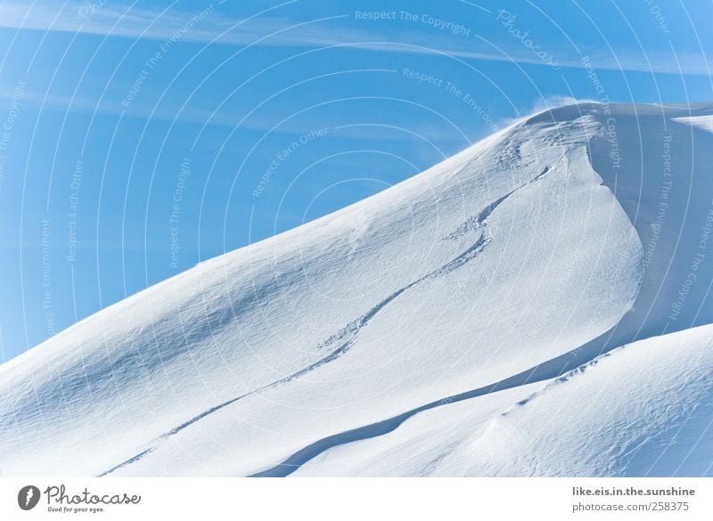 snowboarder-glück Freizeit & Hobby Ferien & Urlaub & Reisen Ausflug Abenteuer Winter Schnee Winterurlaub Umwelt Natur Landschaft Schönes Wetter Eis Frost