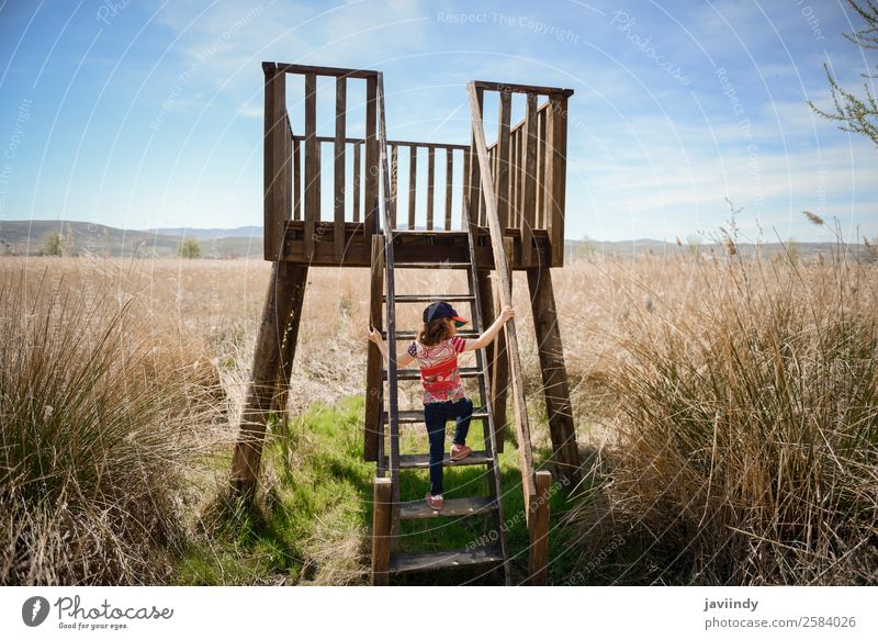Kleines Mädchen klettert zu einem hölzernen Aussichtsturm. Lifestyle Freude Glück schön Freizeit & Hobby Sommer Kind Mensch Kindheit Hand 1 3-8 Jahre Natur
