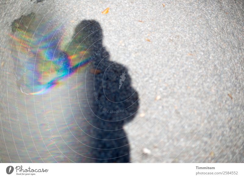 Grenzüberschreitung | Go ahead! Straße gehen außergewöhnlich mehrfarbig grau Schatten Spektralfarbe Reflexion & Spiegelung Asphalt zerrinnen Farbfoto