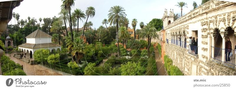 Garten Alcazar Sevilla Spanien Palme grün Mauer Tempel Architektur Alcàzar