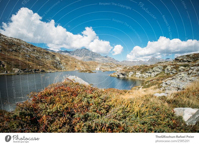 Berninapass Umwelt Natur Landschaft blau braun rot weiß Wasser See Berge u. Gebirge Stein Aussicht Außenaufnahme Alpen Schweiz Farbfoto Textfreiraum oben