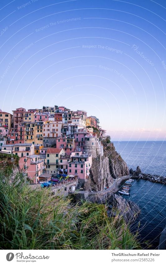 Manarola Landschaft blau mehrfarbig grün rosa Cinque Terre Italien Tourismus Reisefotografie Ferien & Urlaub & Reisen Klippe Haus Aussicht Meer Horizont