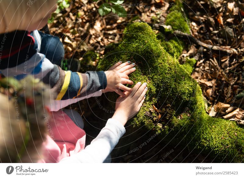 Walderfahrung Sinnesorgane ruhig Meditation Kindererziehung Kindergarten Kindheit 1-3 Jahre Kleinkind 3-8 Jahre Umwelt Natur Pflanze Tier Urelemente Erde Duft