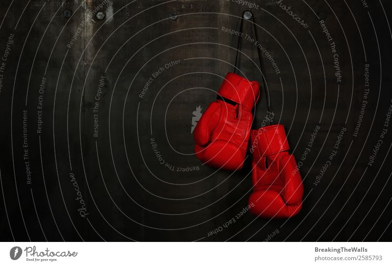 Paar rote Boxhandschuhe aus Leder, die an einer schwarzen Wand hängen. Sport Fitness Sport-Training Kampfsport Bekleidung Schutzbekleidung dunkel einfach