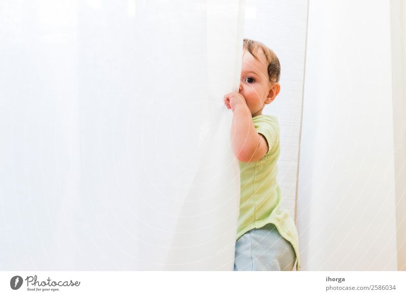Baby spielt und versteckt sich mit weißen Vorhängen. Freude Glück schön Gesicht Spielen Kind Mensch Kleinkind Junge Kindheit 1 0-12 Monate krabbeln sitzen