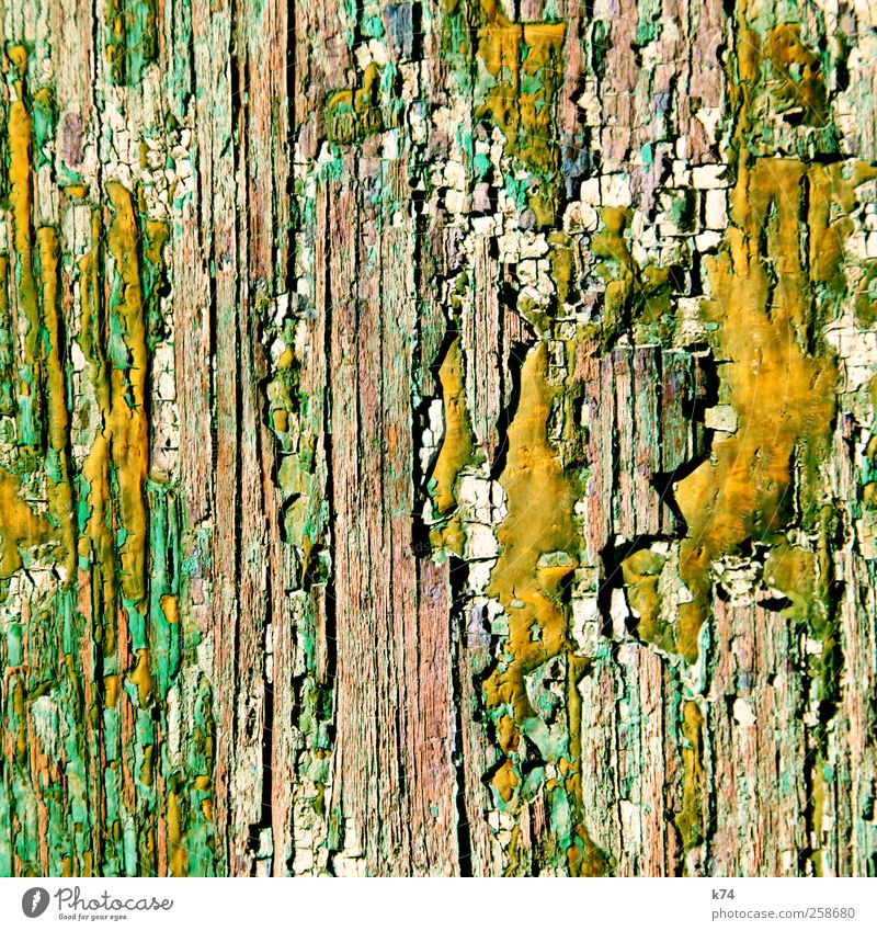 second life / reelin' in the years Holz alt braun gelb grün Verfall Vergänglichkeit Wandel & Veränderung Farbstoff Erosion Hintergrundbild Farbfoto mehrfarbig