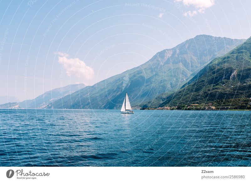 Gardasee | Segelschiff Umwelt Natur Landschaft Sommer Schönes Wetter Berge u. Gebirge Seeufer Segelboot elegant nachhaltig natürlich blau grün erleben Farbe