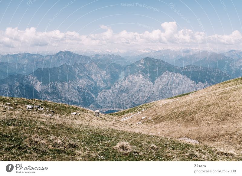 Monte Baldo | Gardasee Umwelt Natur Landschaft Sommer Schönes Wetter Wiese Alpen Berge u. Gebirge Gipfel einfach Ferne gigantisch Unendlichkeit blau Abenteuer