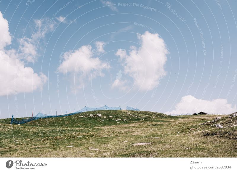 Gardasee | Monte Baldo Umwelt Natur Landschaft Sommer Schönes Wetter Wiese Alpen Berge u. Gebirge Gipfel ästhetisch elegant blau grün Einsamkeit Erholung Farbe