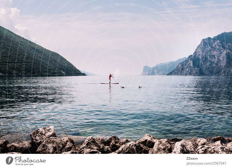 Gardasee | Stand up paddling Lifestyle Freizeit & Hobby Ferien & Urlaub & Reisen Sommer Sommerurlaub Wassersport Mensch 1 Natur Landschaft Himmel Schönes Wetter