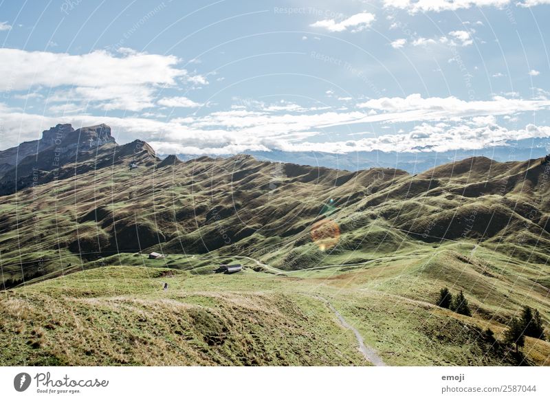 Hoch-Ybrig Umwelt Natur Landschaft Sommer Schönes Wetter Alpen Berge u. Gebirge natürlich blau grün Tourismus Schweiz Wanderausflug Farbfoto mehrfarbig