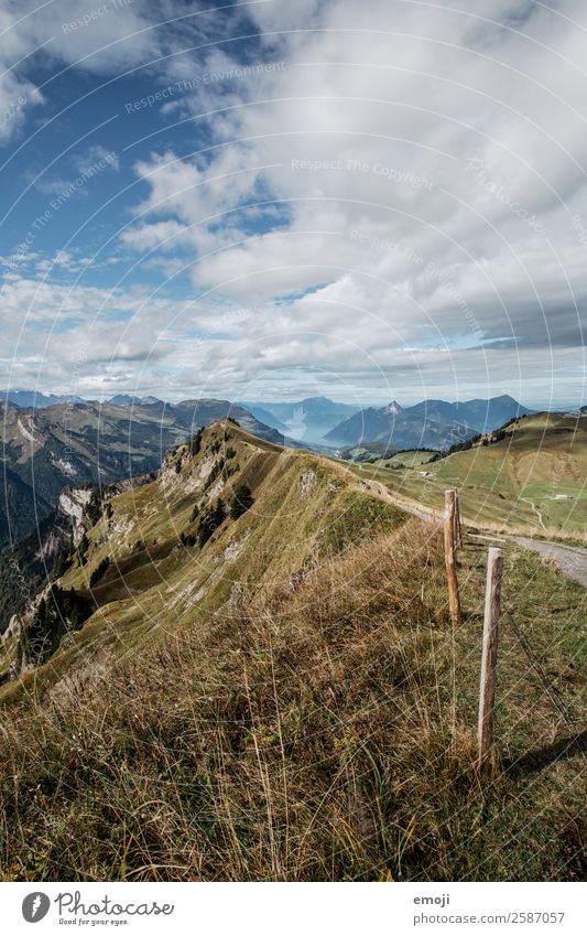 Aussicht vom Hoch-Ybrig Umwelt Natur Landschaft Sommer Schönes Wetter Alpen Berge u. Gebirge natürlich blau grün Tourismus Schweiz Vierwaldstätter See