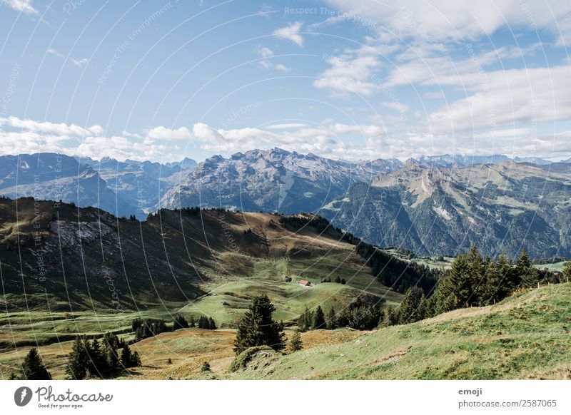 Berge Umwelt Natur Landschaft Sommer Schönes Wetter Alpen Berge u. Gebirge natürlich blau grün Tourismus Schweiz Hoch-Ybrig Wanderausflug Farbfoto mehrfarbig