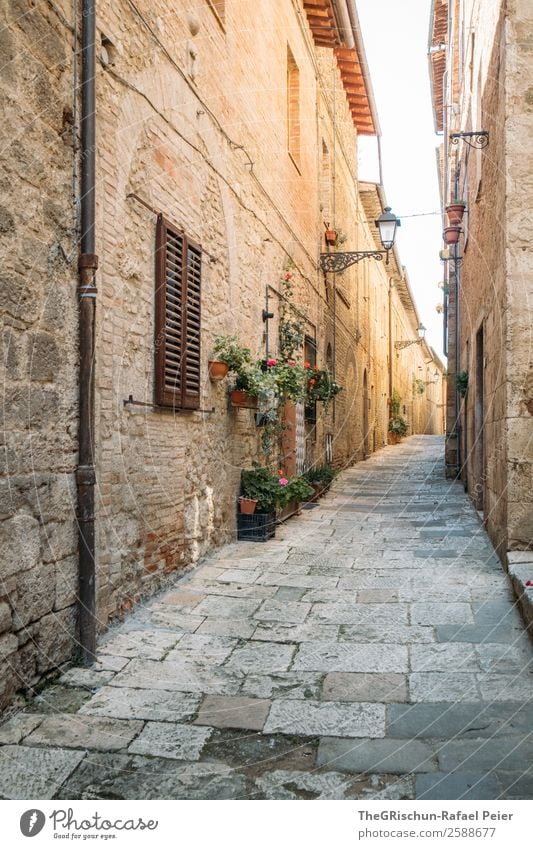 Gasse Dorf alt Italien Toskana Reisefotografie eng Licht Schatten Ferien & Urlaub & Reisen entdecken Mauer Steinboden Farbfoto Außenaufnahme Menschenleer