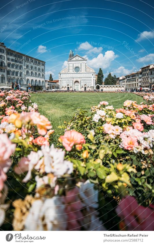 Florenz Natur blau Kirche Religion & Glaube Italien Reisefotografie Stadt Tourismus Rose Blume Schatten Wolken Ferien & Urlaub & Reisen Spaziergang
