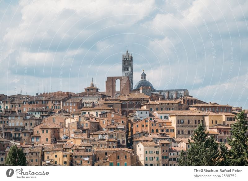 Siena Stadt ästhetisch Italien Reisefotografie Kleinstadt Toskana entdecken Haus geschlossen bebauen Farbfoto Außenaufnahme Menschenleer Tag Weitwinkel