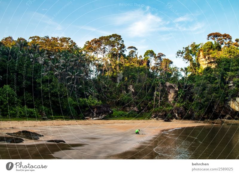 borneo Sohn Kindheit Fernweh Ferien & Urlaub & Reisen Landschaft Küste Strand Meer Borneo bako nationalpark Malaysia Asien Sarawak