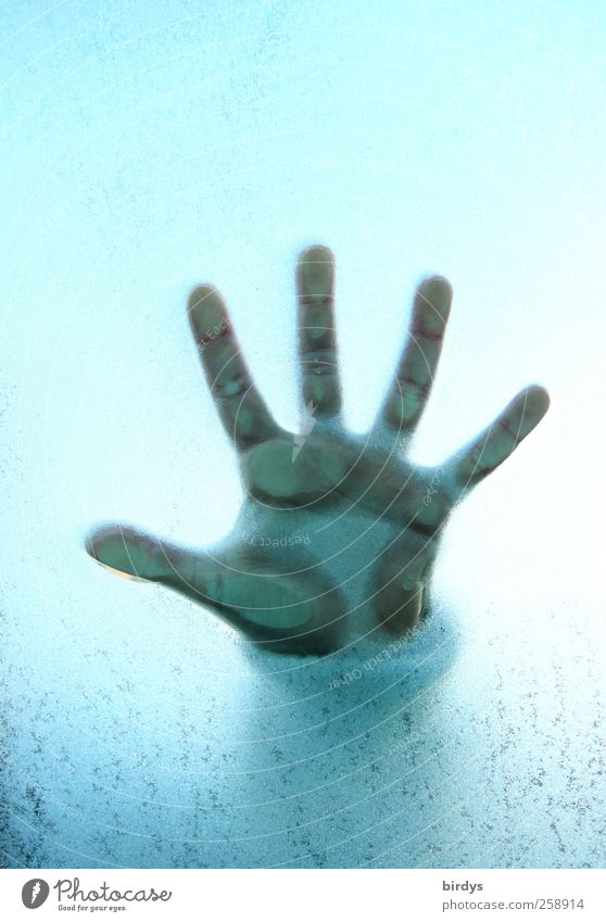 Cool five Kind Hand Finger 3-8 Jahre Kindheit ästhetisch hell blau Neugier Kinderhand 5 Finger Handfläche platt drücken Fensterscheibe gefroren Eisblumen kalt
