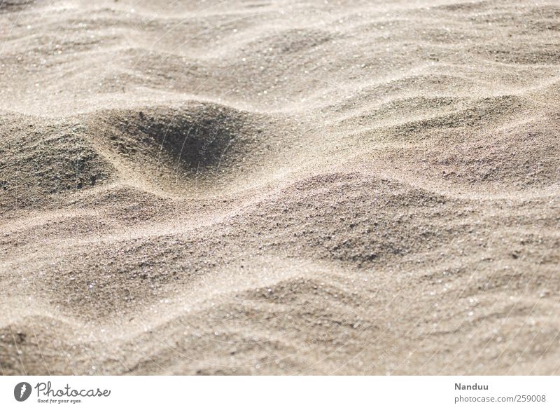 Ewigkeit. Natur ästhetisch Sand Wellenlinie ruhig Meditation Erosion Strand Wind Farbfoto Gedeckte Farben Außenaufnahme Textfreiraum rechts Textfreiraum oben