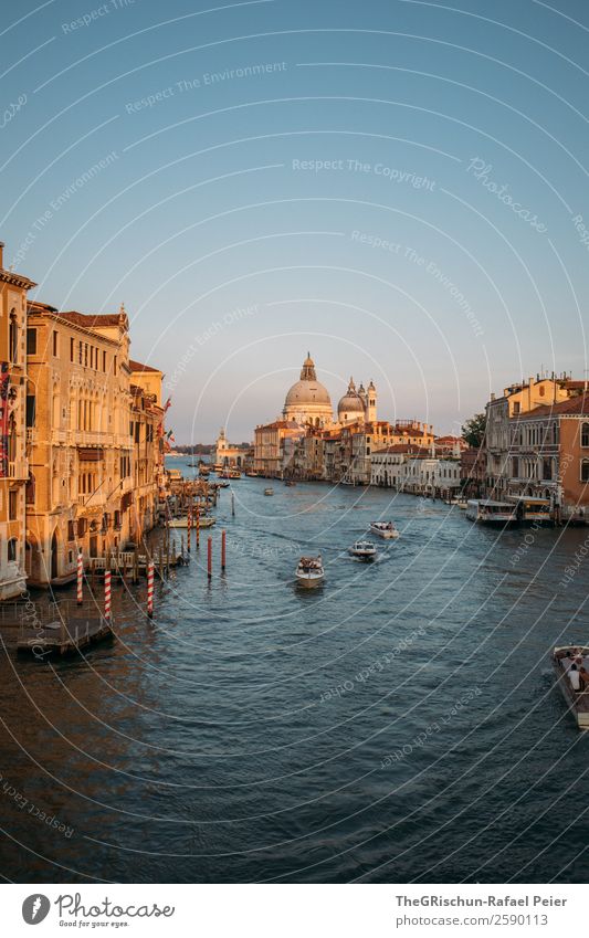 Venedig Stadt Hafenstadt blau braun gold schwarz weiß Canal Grande Italien Reisefotografie entdecken Städtereise Wasserfahrzeug Schifffahrt Dom Stimmung