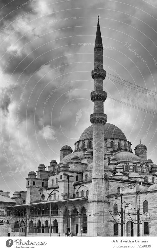 where faith lies hidden Istanbul Türkei Hafenstadt Stadtzentrum Altstadt bevölkert Turm Moschee Mauer Wand Fassade Minarett Kuppeldach rund Religion & Glaube