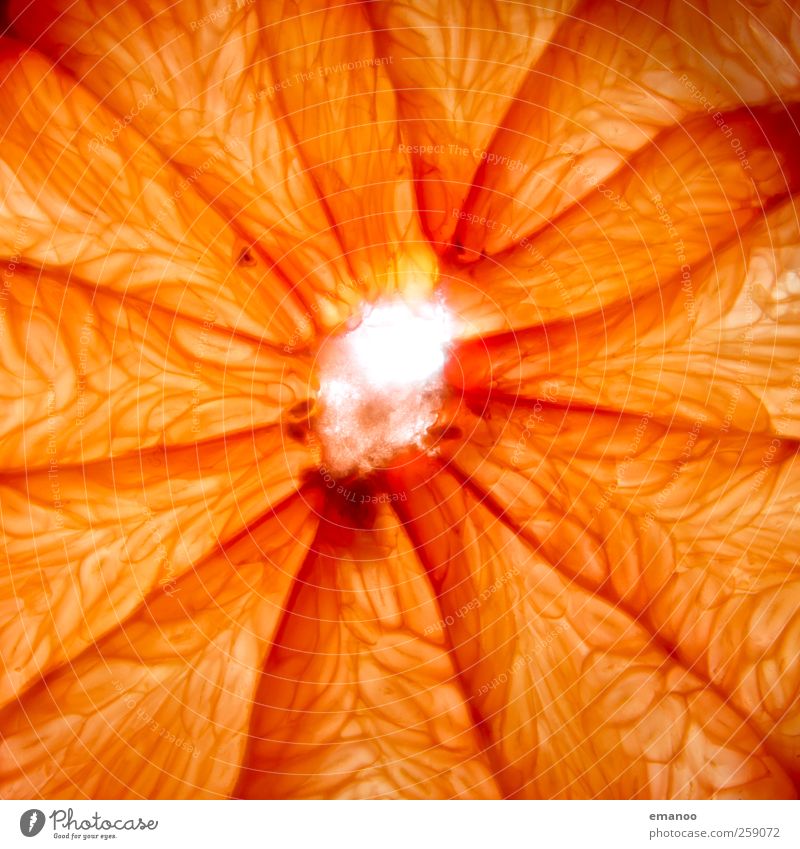 slice of grapefruit Lebensmittel Frucht Orange Ernährung Bioprodukte Vegetarische Ernährung Erfrischungsgetränk Saft Natur Pflanze Nutzpflanze dünn exotisch