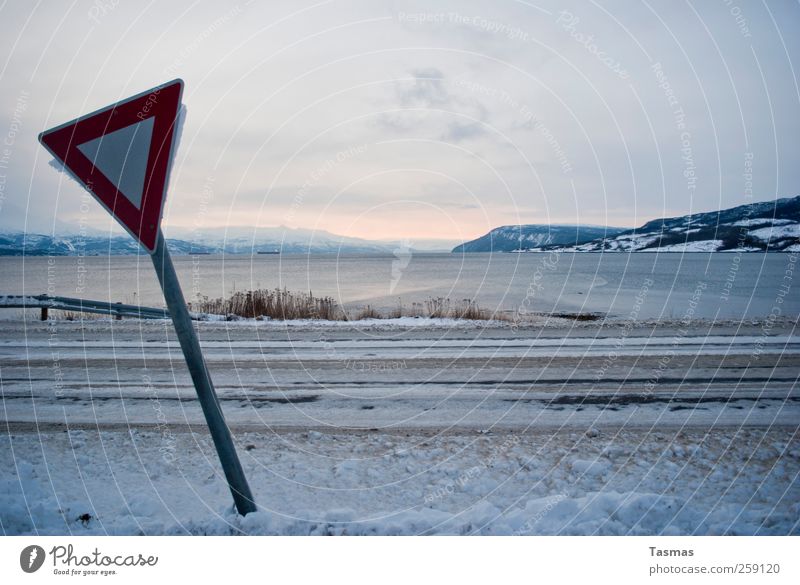 Schild mit Aussicht Umwelt Natur Landschaft Wasser Winter Schönes Wetter Eis Frost Schnee Küste Seeufer Bucht Fjord Verkehr Verkehrswege Straßenverkehr