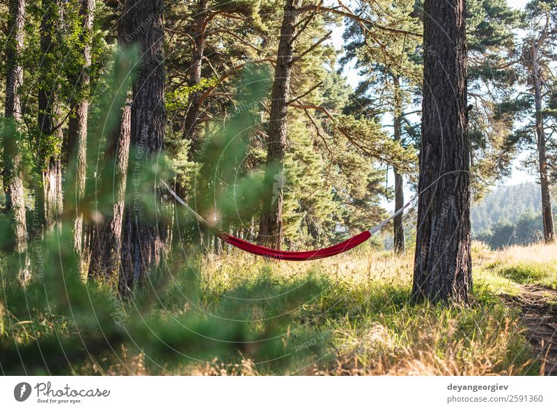 Hängematte im Wald Lifestyle schön Erholung Freizeit & Hobby Ferien & Urlaub & Reisen Camping Sommer Sonne Natur Landschaft Baum Park grün rot Farbe Idylle